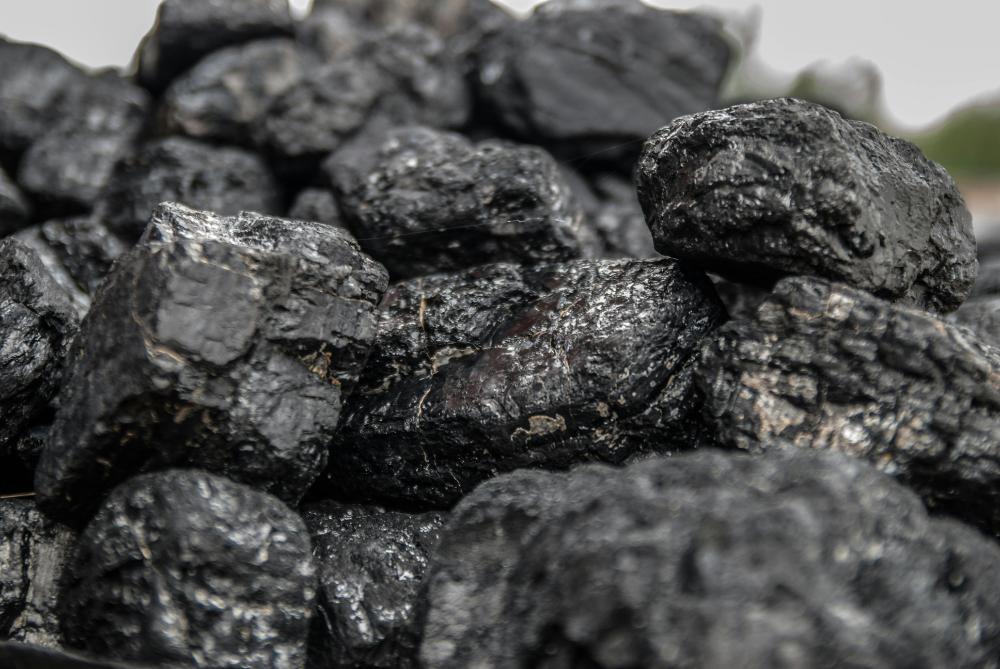 Caption: In 2024, the J.H. Campbell plant emitted approximately 8.93 million short tons of CO₂—making it one of Michigan’s largest stationary sources—yet MISO’s summer 2025 resource adequacy analysis confirmed grid reliability could be maintained without its output.