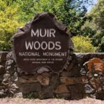 Muir Woods