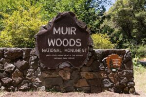 Muir Woods
