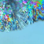 A crystal of glucose growing in a droplet of water. Photo Source: Leonid Shupletsov (CC-BY-4.0)