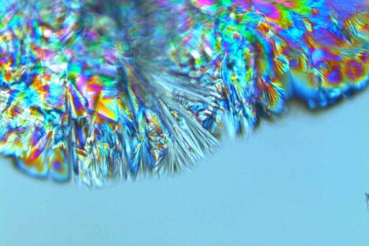A crystal of glucose growing in a droplet of water. Photo Source: Leonid Shupletsov (CC-BY-4.0)