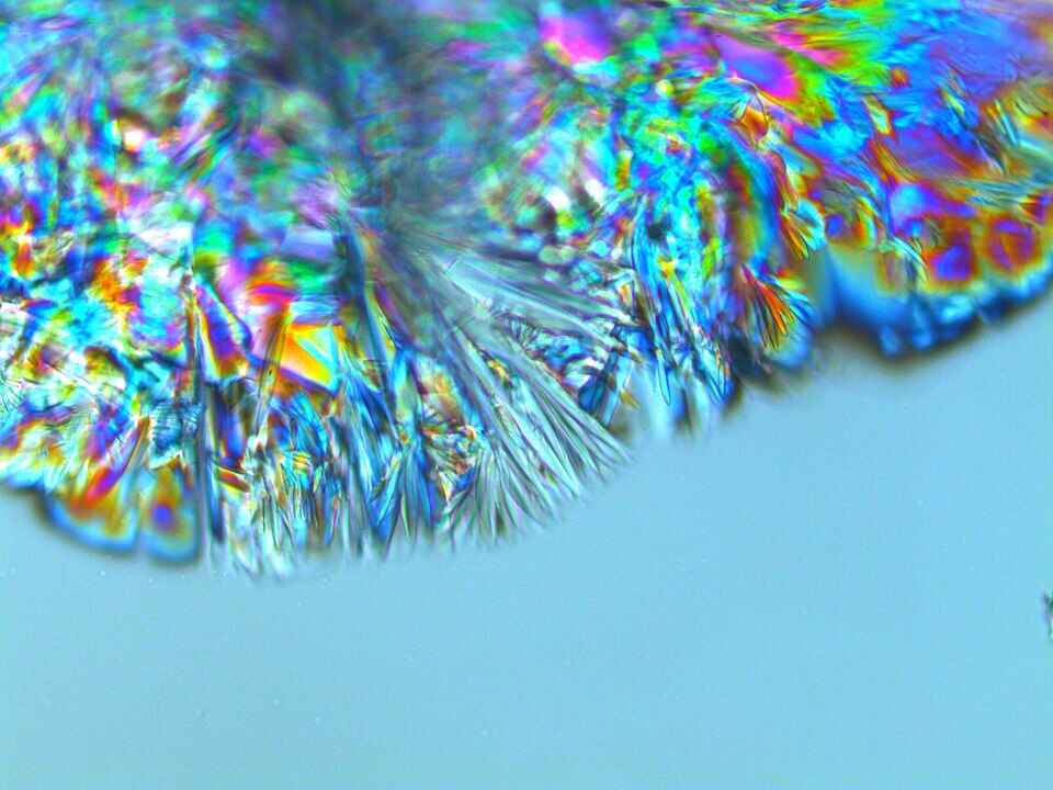 A crystal of glucose growing in a droplet of water. Photo Source: Leonid Shupletsov (CC-BY-4.0)