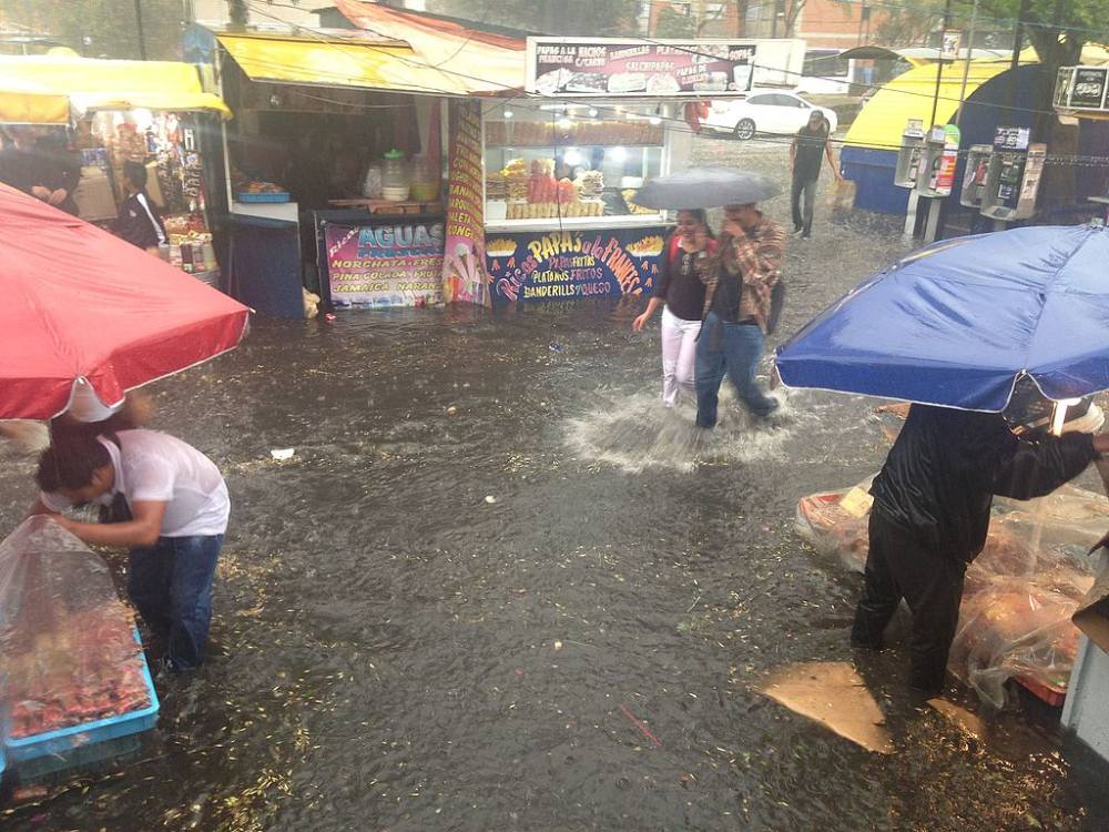 Representative Image. Rainfall at Copilco Station, Mexico City.