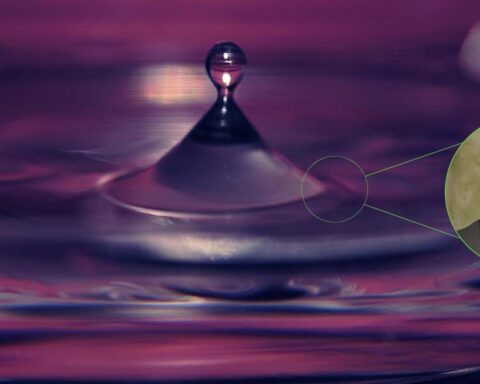 Assistant Professor Yuyang Gu and his collaborators hope that their discovery of particle manipulation in liquid droplets will lead to technologies in biomedical testing and drug development. Photo Source: Binghamton University New York