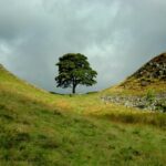 Sycamore Gap during a fleeting break in the clouds.