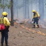 Two firefighters in yellow protective gear work in a forest to control flames along the ground, with smoke rising among the trees