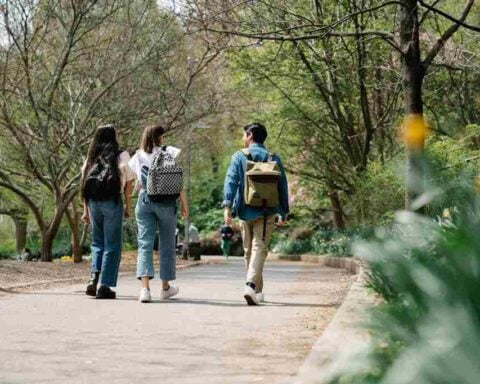 Three friends walking along a tree-lined park pathway, each carrying a backpack.
