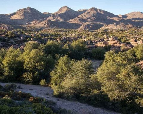 Representative Image. Aerial view of Oak Flat in Arizona showing oak groves and surrounding landscape with mountains in the background