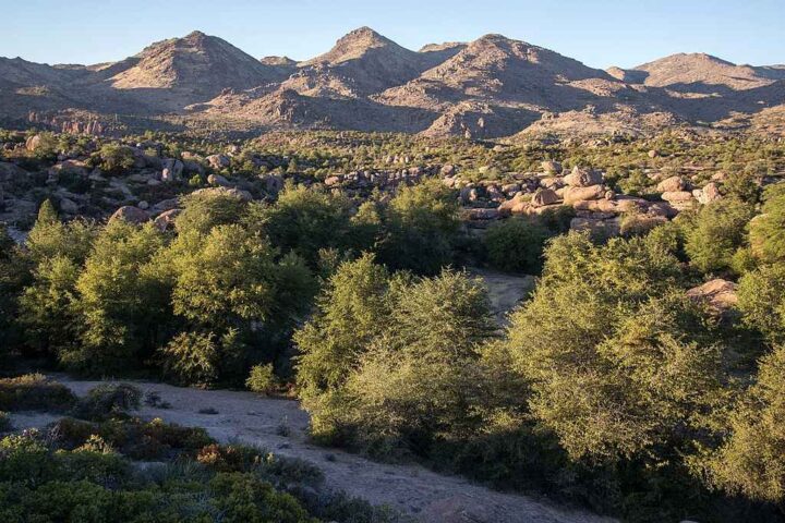 Representative Image. Aerial view of Oak Flat in Arizona showing oak groves and surrounding landscape with mountains in the background