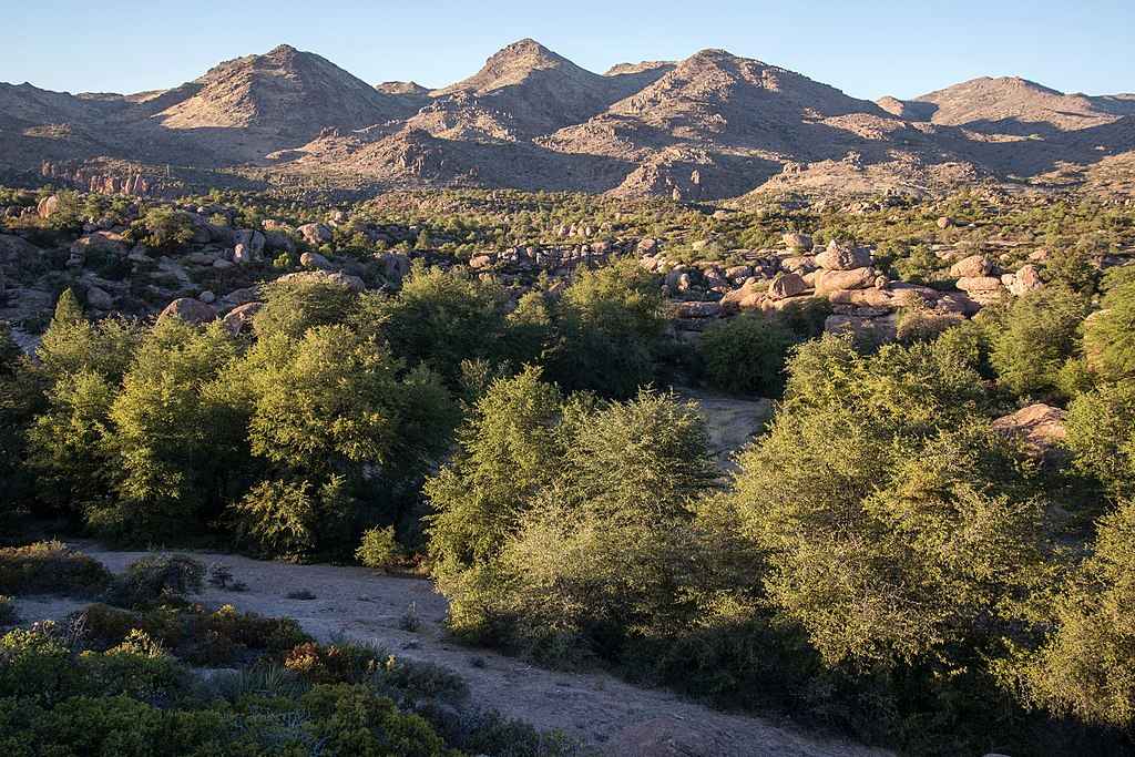 Representative Image. Aerial view of Oak Flat in Arizona showing oak groves and surrounding landscape with mountains in the background