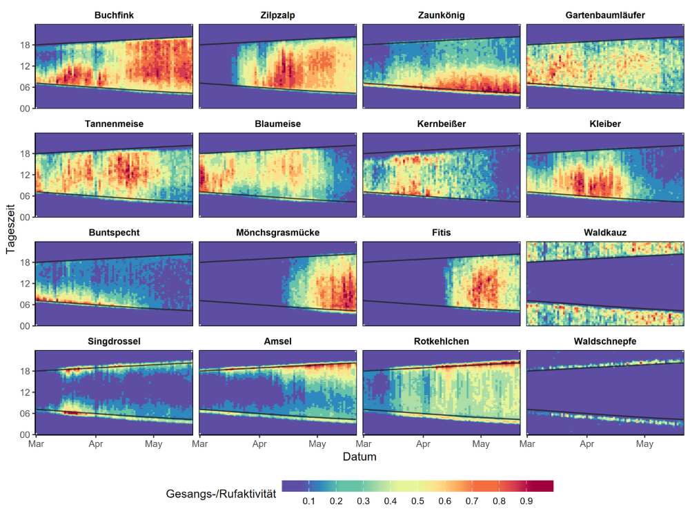 A selection of temporal patterns of song and call activity of forest bird species.
Photo: Graphic: David Singer
