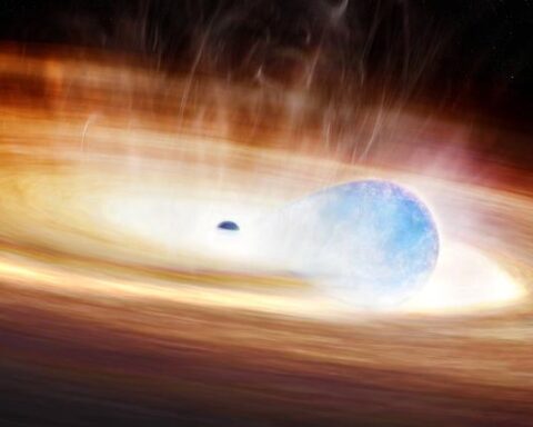 Artist's rendering of a blue star being stretched and distorted by the gravitational pull of a black hole, surrounded by a swirling accretion disk of stellar material in orange and yellow hues against the darkness of space.