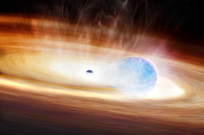Artist's rendering of a blue star being stretched and distorted by the gravitational pull of a black hole, surrounded by a swirling accretion disk of stellar material in orange and yellow hues against the darkness of space.
