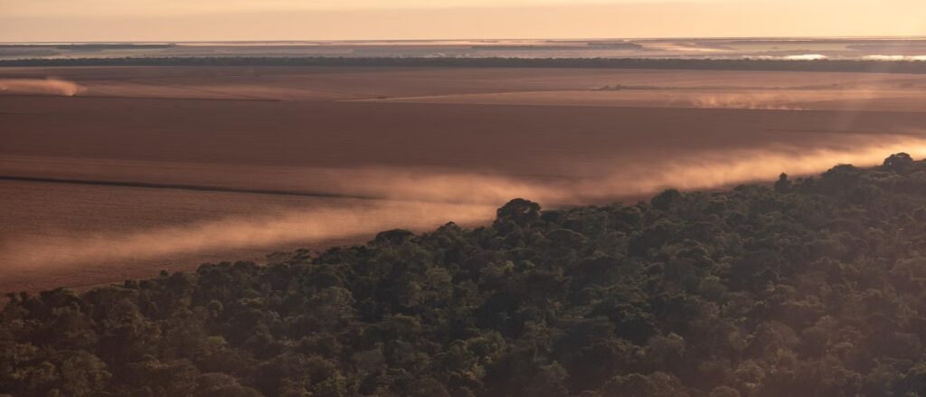 Aerial view of Amazon rainforest edge bordering agricultural fields at sunrise or sunset, with mist flowing between the forest and cleared farmland, showing the distinct boundary between preserved and developed land.