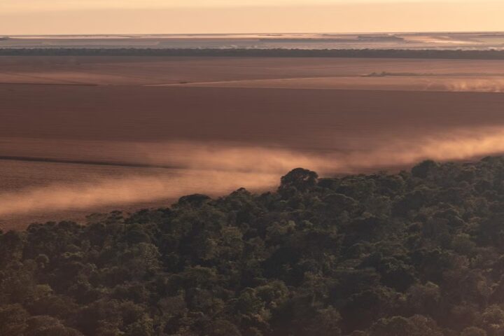 Aerial view of Amazon rainforest edge bordering agricultural fields at sunrise or sunset, with mist flowing between the forest and cleared farmland, showing the distinct boundary between preserved and developed land.