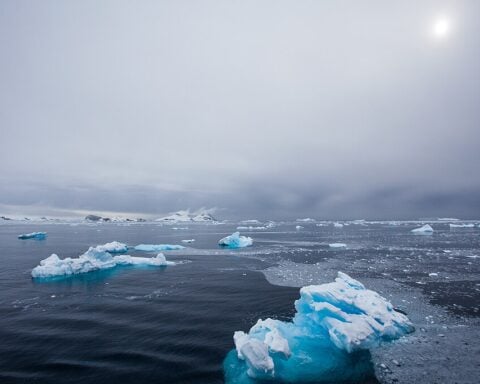 Blue ice fragments floating in dark waters of Antarctica's Southern Ocean with cloudy sky and distant mountains, showing diminishing sea ice coverage.