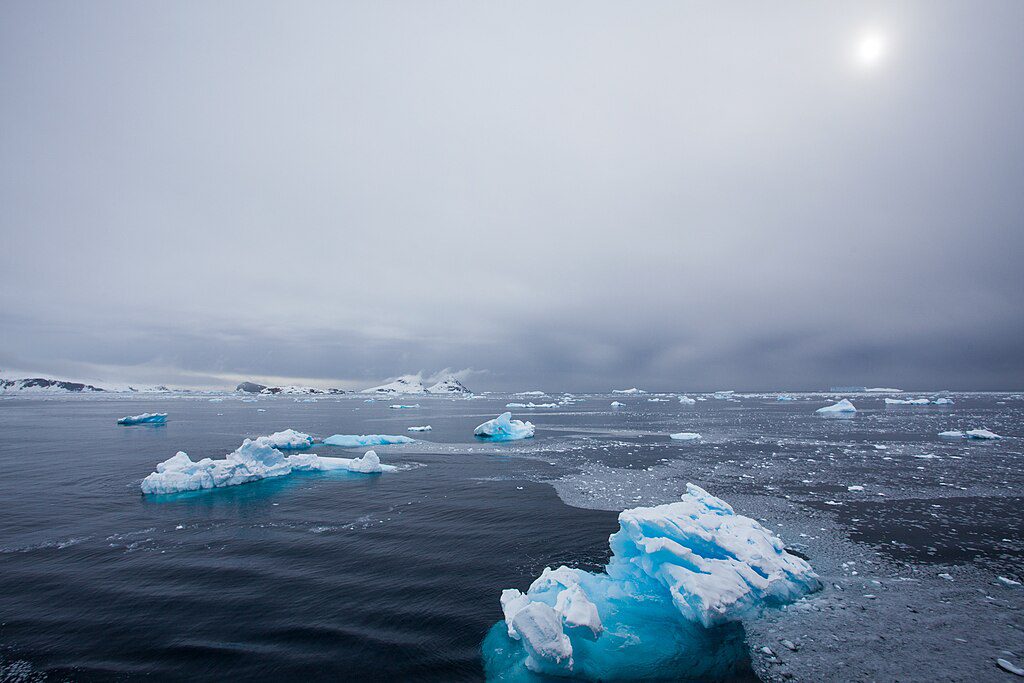 Blue ice fragments floating in dark waters of Antarctica's Southern Ocean with cloudy sky and distant mountains, showing diminishing sea ice coverage.