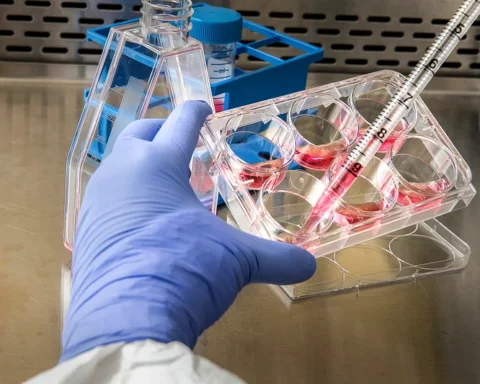 Gloved hand pipetting pink mRNA-laden solution into a six-well culture plate in a laboratory hood