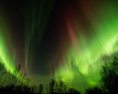 Illustrative aurora borealis (northern lights) glowing over a dark northern horizon under clear skies.