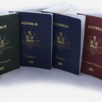 Row of Australian P-Series passports (blue, red, green, and maroon covers) standing upright on a white background.