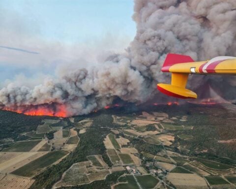 Canadair water bomber releasing a stream of retardant over rolling vineyards and scrubland as thick smoke plumes rise into a clear sky.