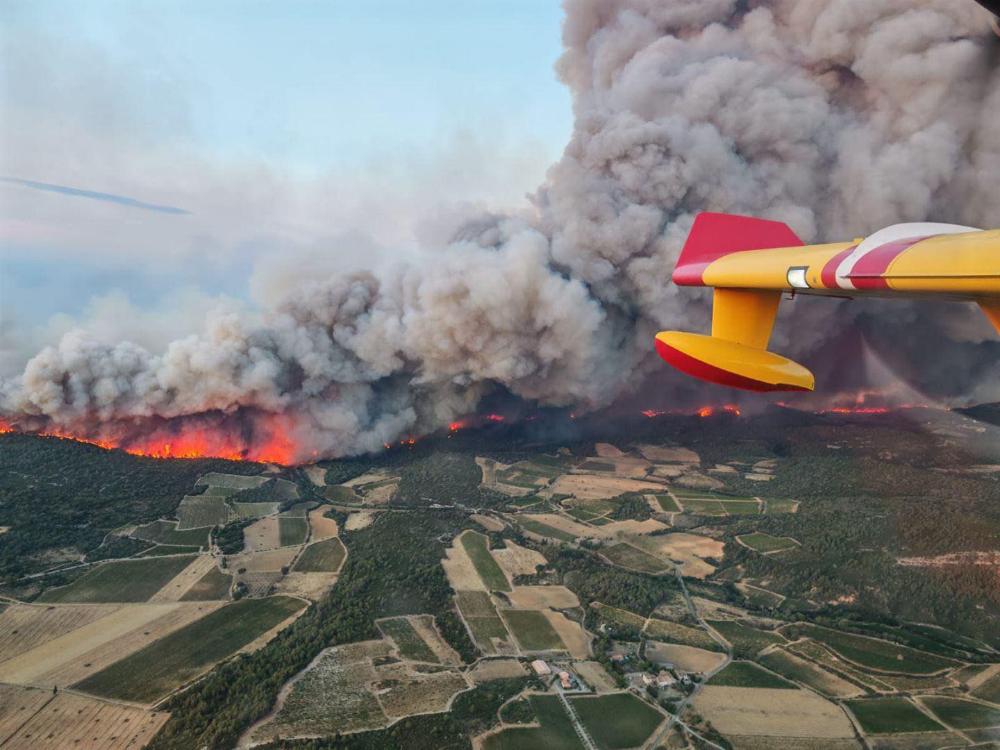 Canadair water bomber releasing a stream of retardant over rolling vineyards and scrubland as thick smoke plumes rise into a clear sky.