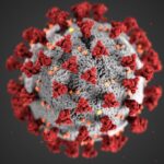3D rendering of a coronavirus particle with red spike proteins on a gray spherical surface with small orange and yellow elements