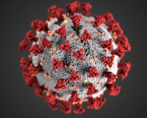 3D rendering of a coronavirus particle with red spike proteins on a gray spherical surface with small orange and yellow elements