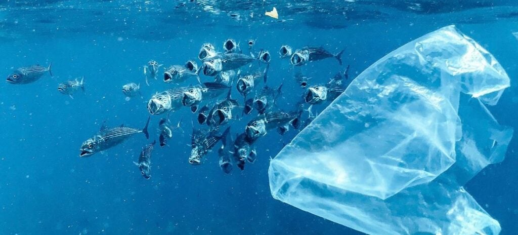 Few places on the planet are free from plastic pollution which is a fact of life today in Bali, Indonesia.