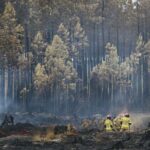 Firefighters in yellow turnout gear walk through a smoldering, charred forest with standing burnt trees in the background.