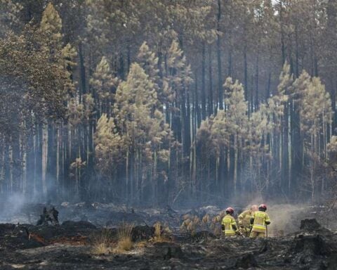 Firefighters in yellow turnout gear walk through a smoldering, charred forest with standing burnt trees in the background.