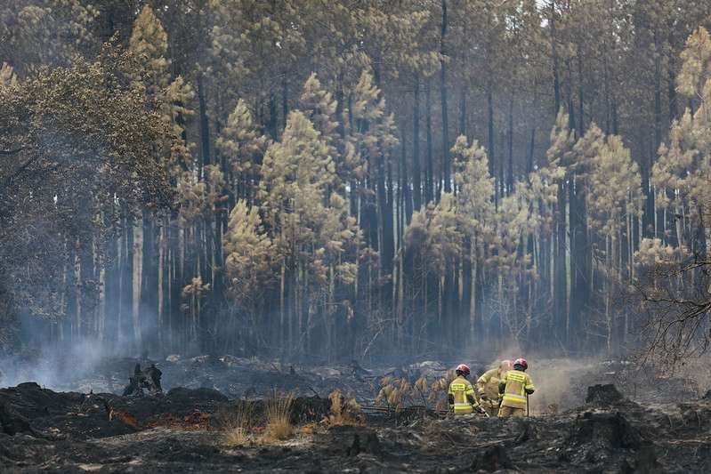 Firefighters in yellow turnout gear walk through a smoldering, charred forest with standing burnt trees in the background.