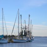 Several commercial fishing boats and vessels with tall masts docked at Shem Creek harbor on a clear day with blue skies, representing the type of commercial fishing fleet impacted by the Hawaii federal court ruling.