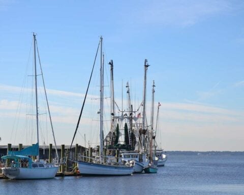 Several commercial fishing boats and vessels with tall masts docked at Shem Creek harbor on a clear day with blue skies, representing the type of commercial fishing fleet impacted by the Hawaii federal court ruling.