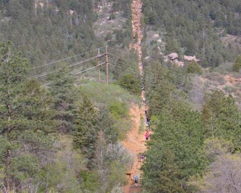 Hikers climbing the steep, wooden railroad-tie steps of the Manitou Incline through a densely forested mountainside.