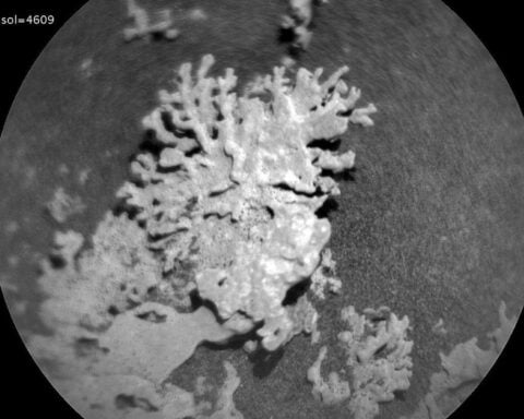 Black-and-white ChemCam RMI image from NASA’s Curiosity rover showing a small coral-like rock on Mars with annotations: target=Punta_De_Lobos, distance=2.87 m, sol=4609; scale bar 5.7 mm.