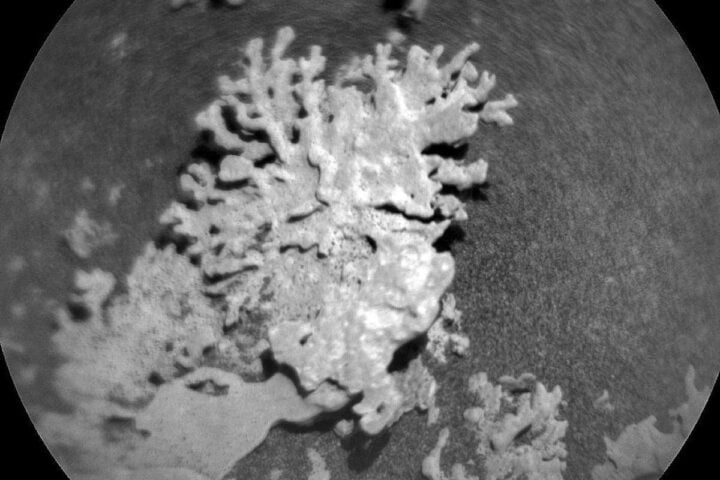 Black-and-white ChemCam RMI image from NASA’s Curiosity rover showing a small coral-like rock on Mars with annotations: target=Punta_De_Lobos, distance=2.87 m, sol=4609; scale bar 5.7 mm.