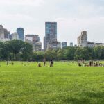 A wide green park with scattered visitors and tall city buildings in the background