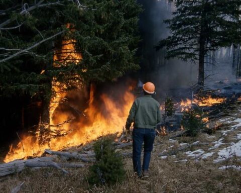 Worker in a hard hat faces a forest wildfire as flames and smoke engulf a mix of green and burned trees.