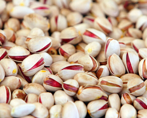 Close-up of shelled and unshelled pistachio nuts, photographed at a processing facility in Iran.