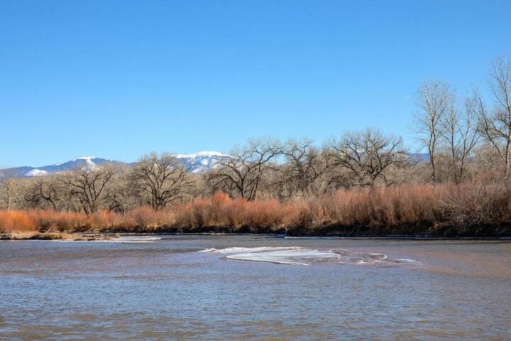 Rio Grande river with leafless trees and snow-capped mountains under clear blue sky