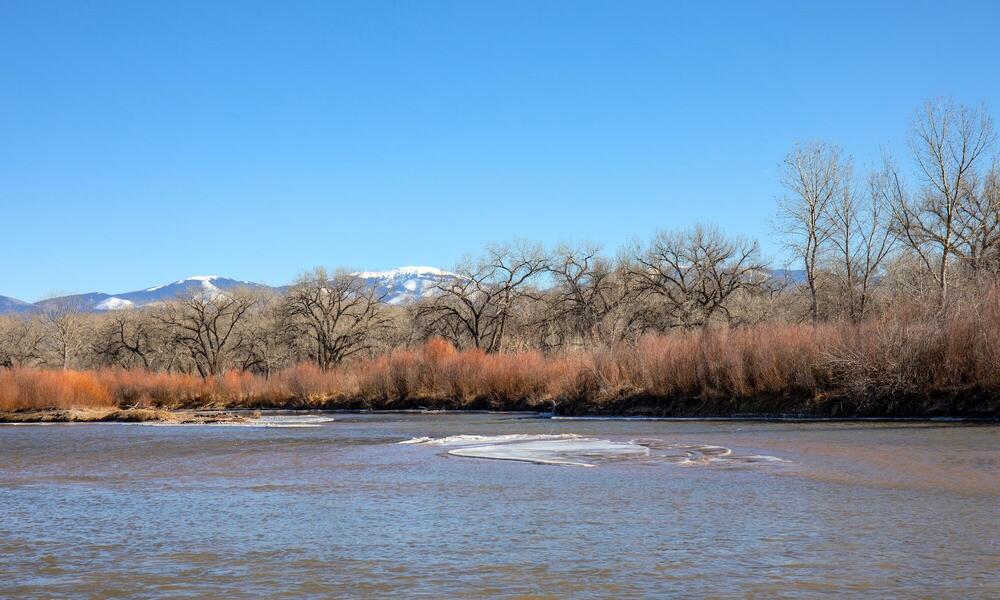 Rio Grande river with leafless trees and snow-capped mountains under clear blue sky