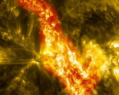 Solar surface close-up showing bright active region with flares and prominences