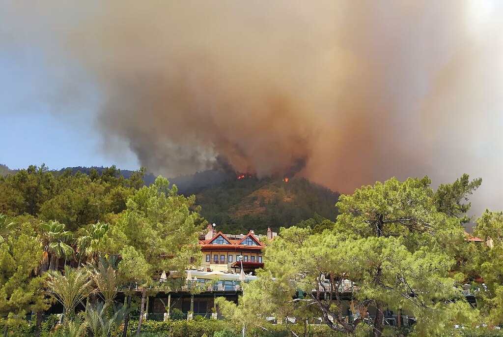 A large plume of smoke rises from a forest fire in Turkey, with trees and buildings in the foreground.