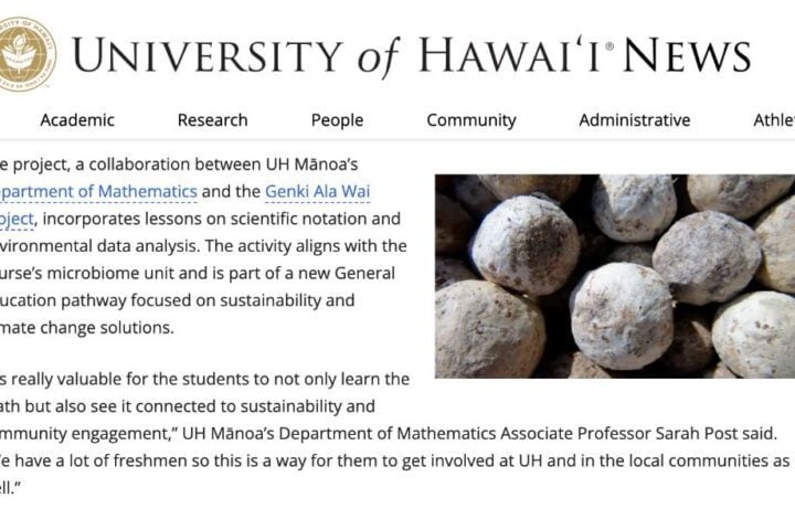 Tennis-ball-sized muddy spheres composed of rice bran, soil, molasses, and microorganisms—Genki Balls used in environmental cleanup.