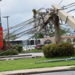 A fallen electric utility pole perched on a broken tree, with tangled power lines draped over a suburban lawn.