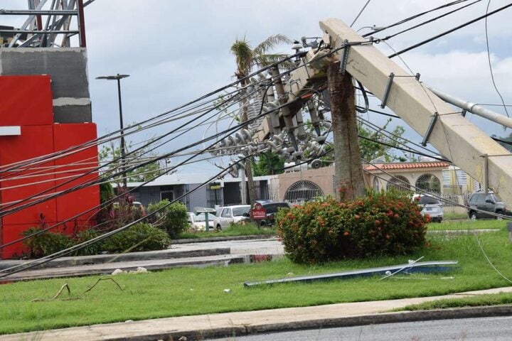 A fallen electric utility pole perched on a broken tree, with tangled power lines draped over a suburban lawn.