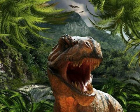 A roaring Tyrannosaurus rex with its mouth wide open in a tropical prehistoric setting with palm trees and flying pterosaurs in the background