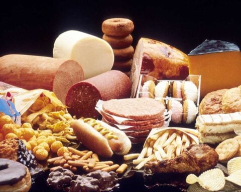 Representative Image. Fast Food