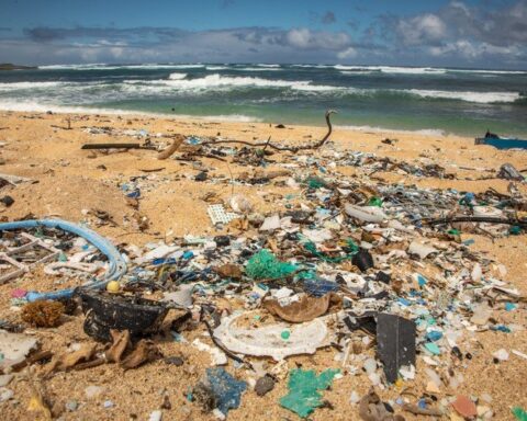 Plastic debris covering a Hawai‘i beach, including bottles, containers, and ropes, with ocean waves visible in the background.